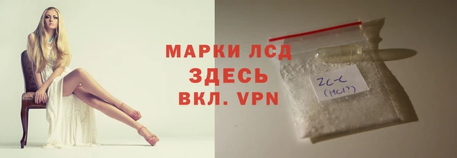 ешки Алзамай