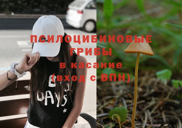 ешки Алзамай
