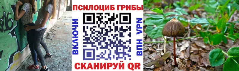 Галлюциногенные грибы мицелий  цена наркотик  Кондопога 