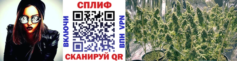 купить наркоту Кондопога Конопля SATIVA & INDICA